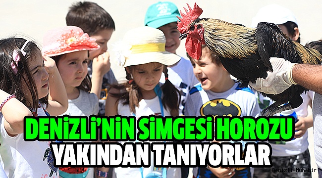 Hayvan Sevgisini Küçük Yaşta Öğreniyorlar