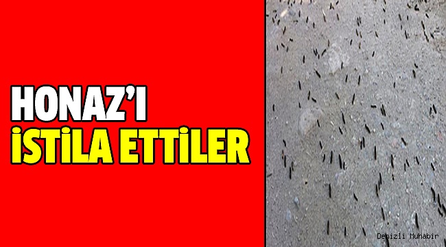 Honaz’da Neler Oluyor?