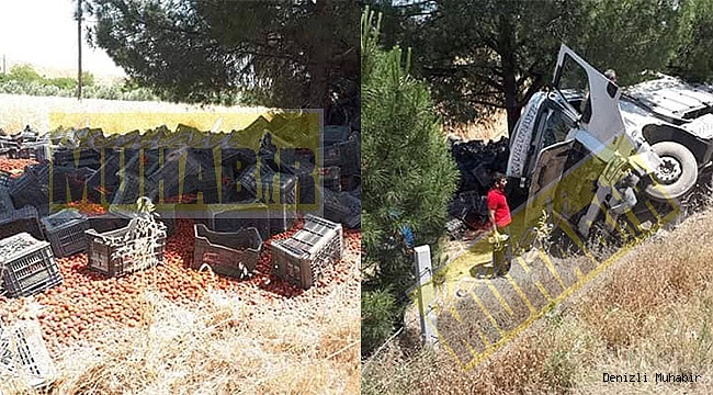 Kamyon şarampole yuvarlandı: 2 yaralı