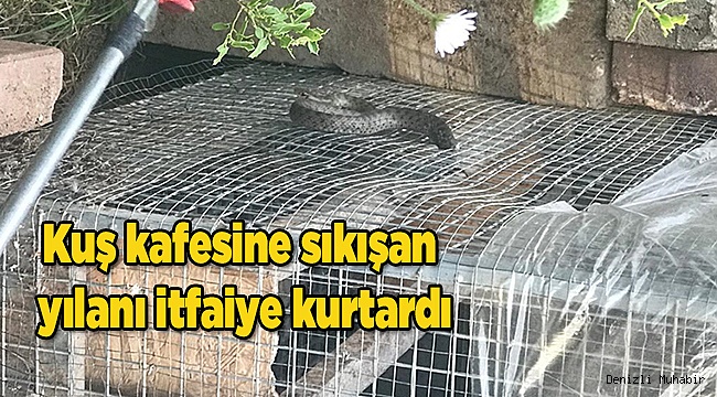 Kuş kafesine sıkışan yılanı itfaiye kurtardı