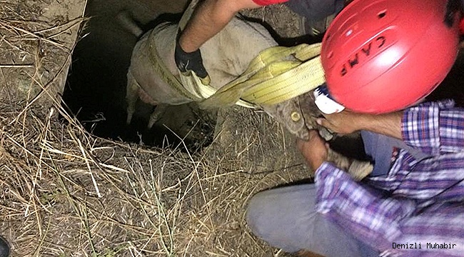 Kuyuya Düşen Koyunu İtfaiye Kurtardı