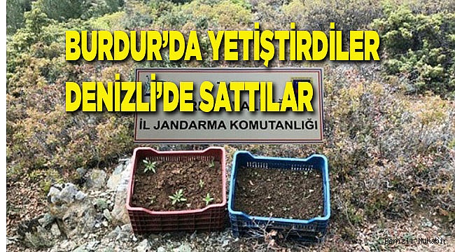 Ormanda yetiştirmişler
