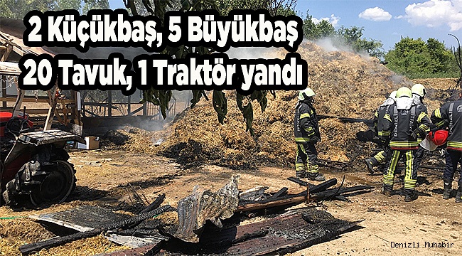 27 Can yangında telef oldu
