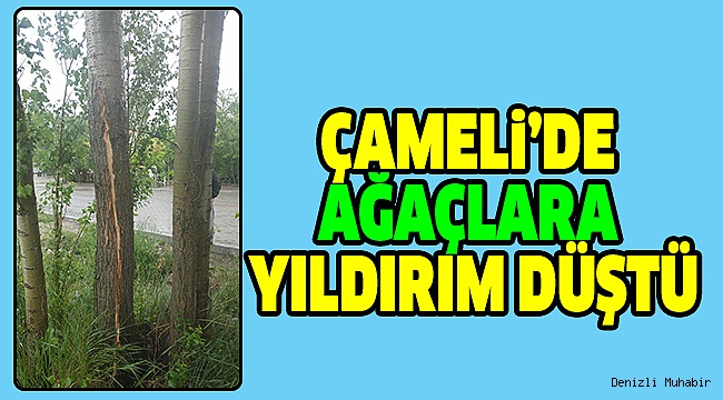 Çameli’de Yıldırım Elektrikli Cihazları Da Etkiledi