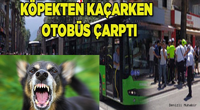 Gazi Bulvarında köpek saldırısına uğradı