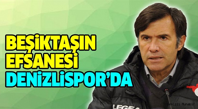 İldiz’in Başyardımcısı Oldu