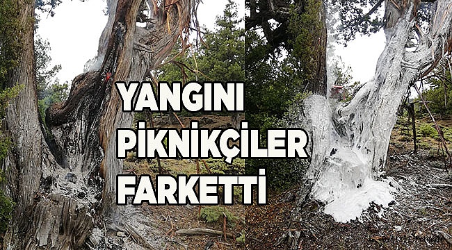 Yıldırım, ormanlık alanda yangın çıkardı