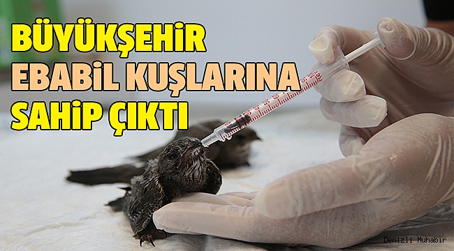 Bir Süre Bakıp Sonra Doğaya Bırakacaklar