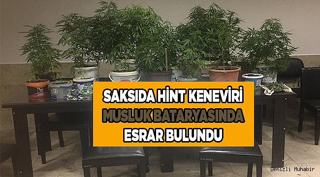 Çiçek saksısında Hint keneviri, bataryada esrar..