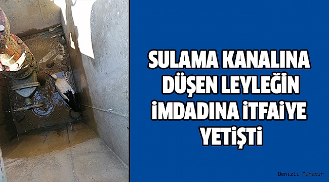 İtfaiyeden Leylek Kurtarma Operasyonu