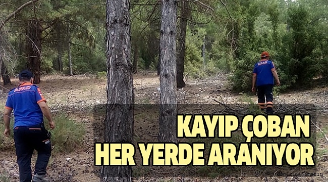 Kadın Çoban İçin Arama Çalışması Başlatıldı