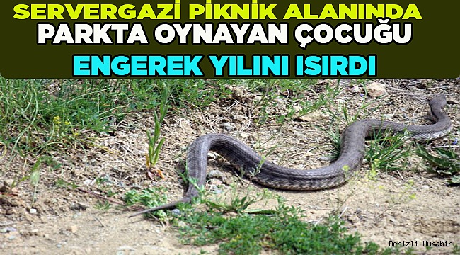 Küçük Emirhan, taburcu edildi