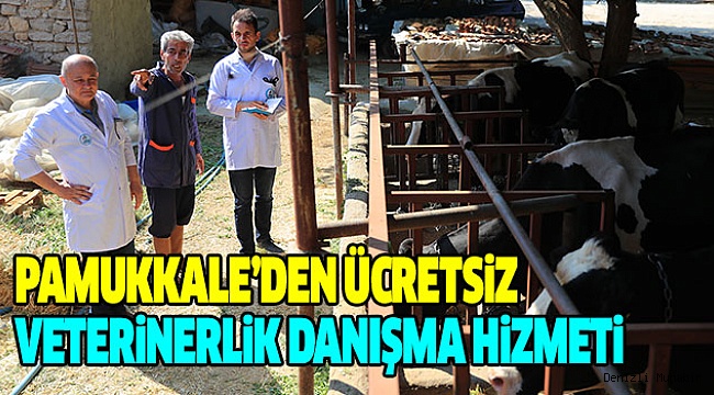 Pamukkale Belediyesi'nden Hayvancılığa Büyük Destek