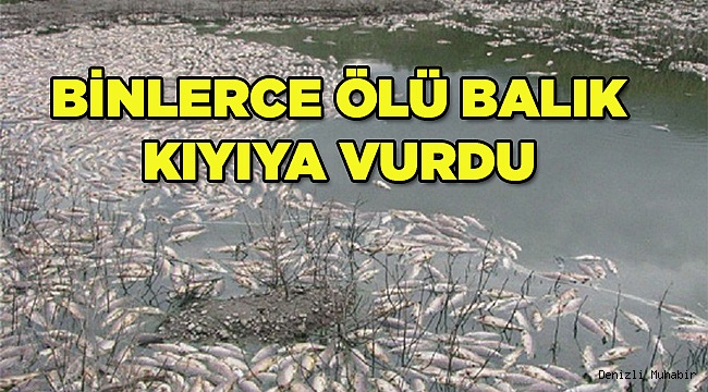 Sebebi araştırılsın