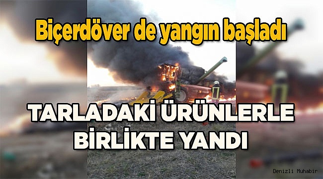 Tarladaki ürünler yandı