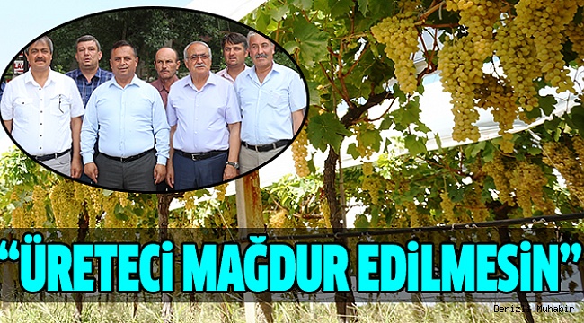 Üzüm Üretiminin Lokomotifi 4 İlçenin Başkanları Harekete Geçti