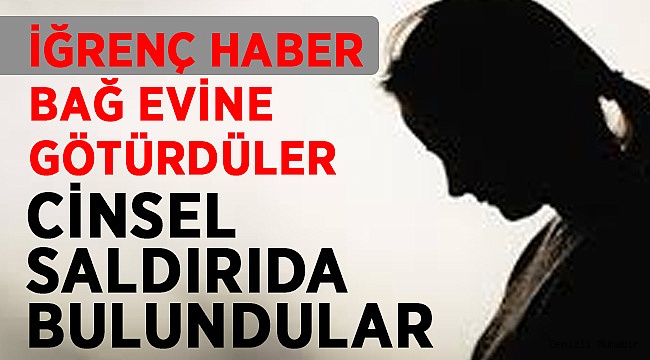 BAĞ EVİNDE CİNSEL SALDIRIDA BULUNDULAR