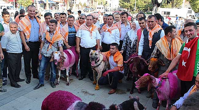 ÇAL’DAN BU İLGİNÇ YÜRÜYÜŞE DAVET VAR