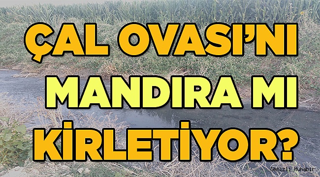 Çal yöresindeki çiftçiler şikayetçi