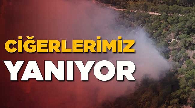 Denizli'de Orman Yangını