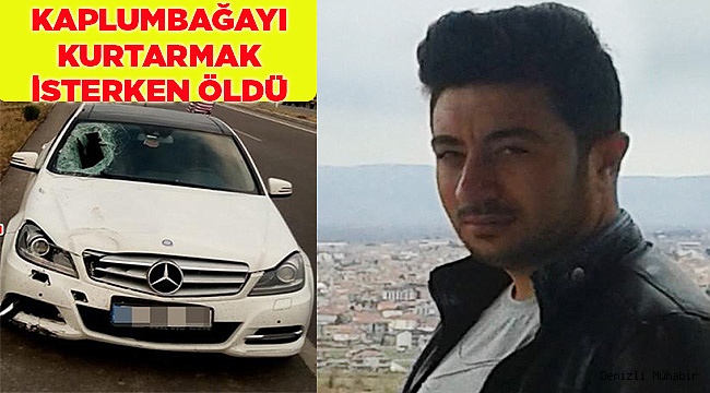 Kaplumbağayı kurtarmak isterken canından oldu