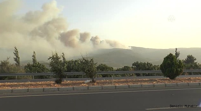 Sarayköy'de orman yangını