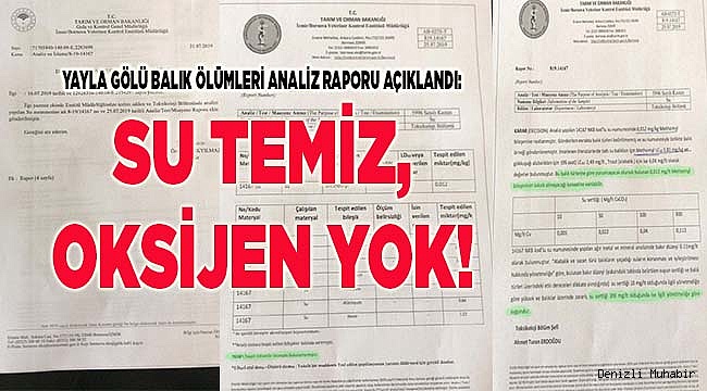 Sonuç:  "Su temiz, Oksijen yok!"