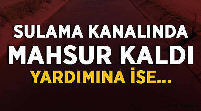 Sulama Kanalında Mahsur Kaldı!