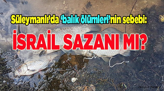 Tarım Müdürlüğü'nün raporu bekleniyor