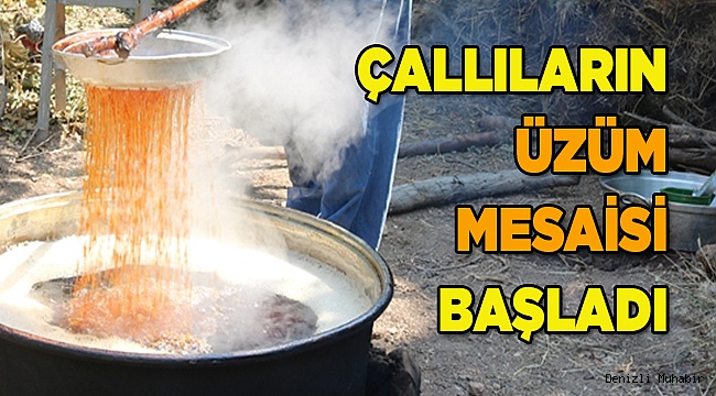 Çallıların üzüm pekmezi mesaisi başladı