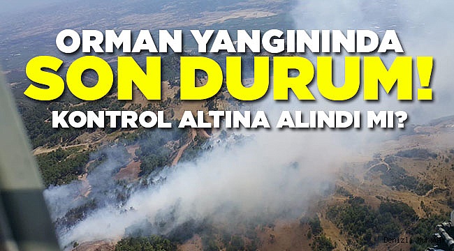 Denizli'de Çıkan Orman Yangınında Son Durum