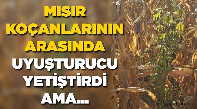 Uyuşturucu Tacirinin Yeni Yetiştirme Yöntemi Pes Dedirtti