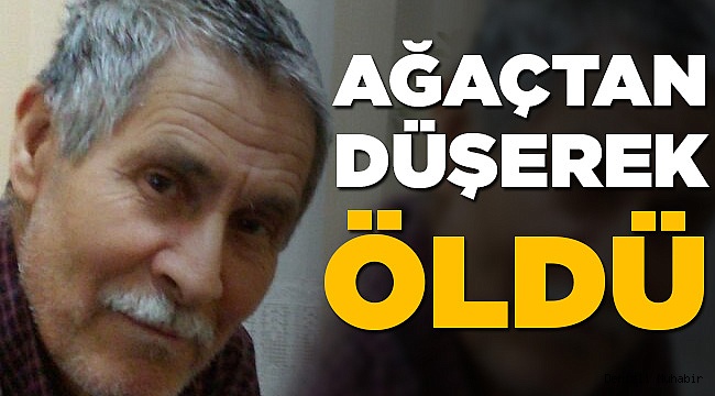 65 yaşındaki adam ağaçtan düştü hayatını kaybetti
