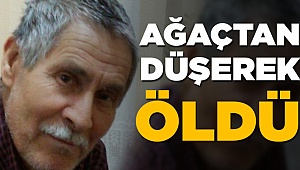 65 yaşındaki adam ağaçtan düştü hayatını kaybetti