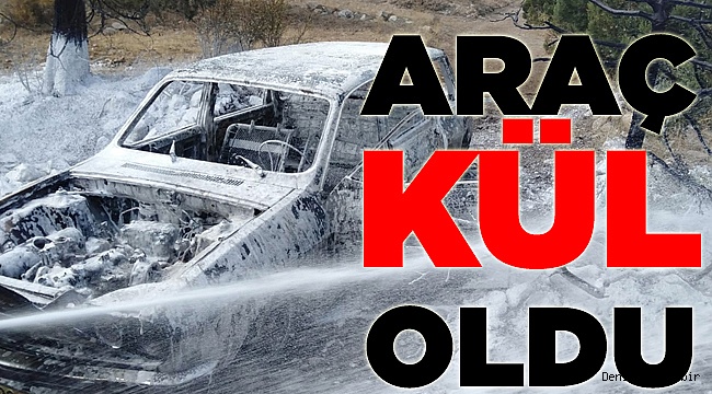 Araç Yangını Ormana Sıçradı