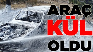 Araç Yangını Ormana Sıçradı