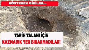 ARAZİLER DEFİNECİLER TARAFINDAN YAĞMALANIYOR