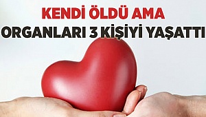 Bir Beden Üç Bedene Can Oldu