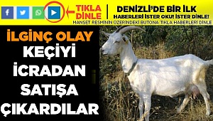 Buda Oldu! keçi İcradan Satılığa Çıktı