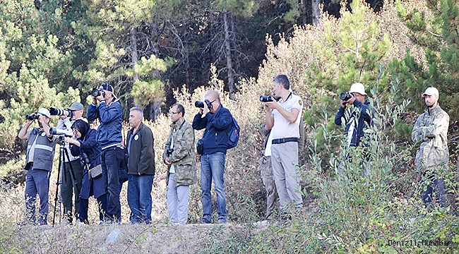 Buldan Yayla Gölü kuş gözlemcilerini ağırladı
