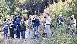 Buldan Yayla Gölü kuş gözlemcilerini ağırladı