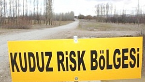 ÇİVRİL'DE KUDUZ KARANTİNASI