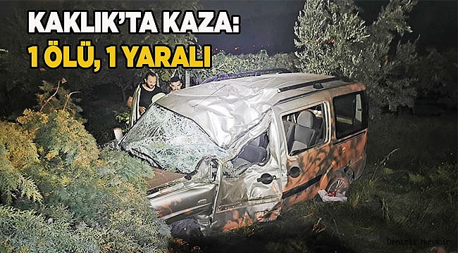 Denizli'de hafif ticari araç şarampole devrildi: 1 ölü, 1 yaralı