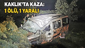 Denizli'de hafif ticari araç şarampole devrildi: 1 ölü, 1 yaralı
