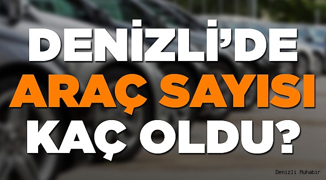 Denizli'de kaç araç var?