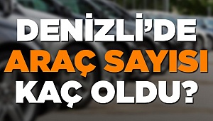 Denizli'de kaç araç var?