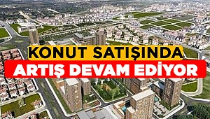 Denizli'de Konut Satış Rakamları Belli Oldu