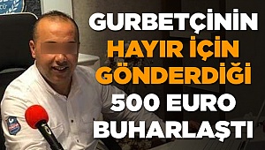 Gurbetçinin Gönderdiği Para Ne Oldu?