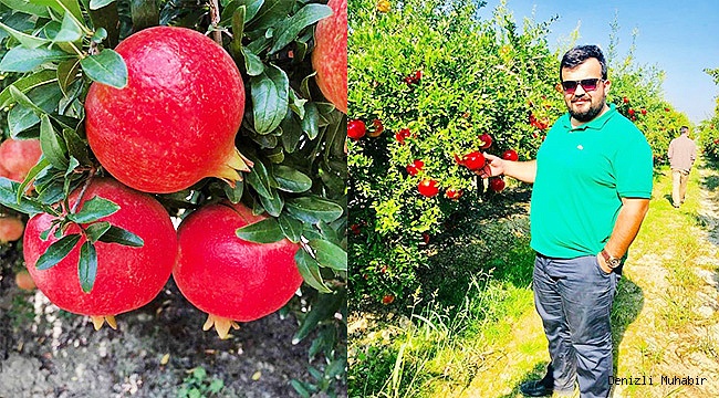 Hicaz Narı dünya sofralarını süslüyor