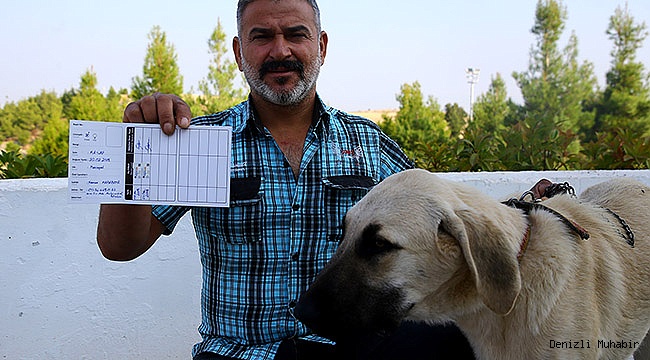 İşkence Edilen Köpek Sahiplerine Teslim Edildi
